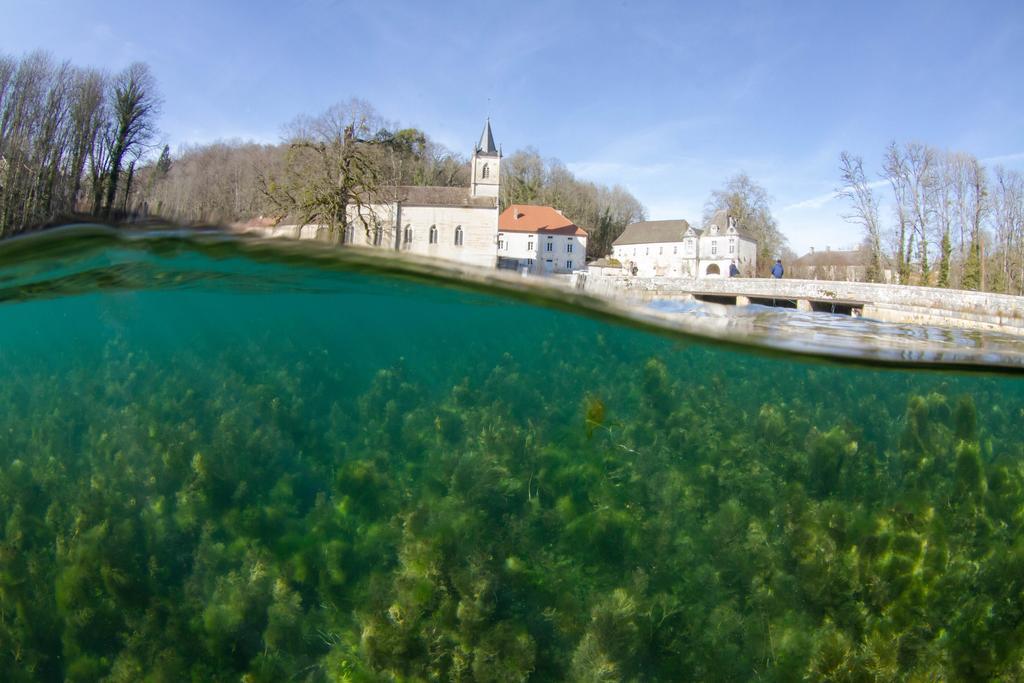 Gentilhommiere Eaux Bleues Bed & Breakfast Ecot-la Combe Exterior photo